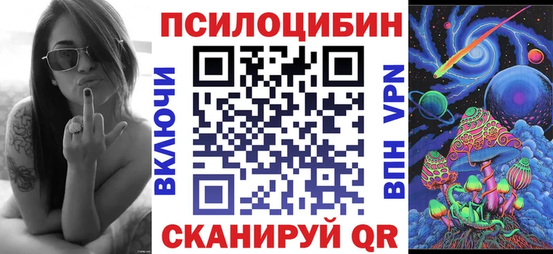 Псилоцибиновые грибы Cubensis  Ершов 