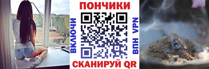 купить   Ершов  Бошки Шишки тримм 